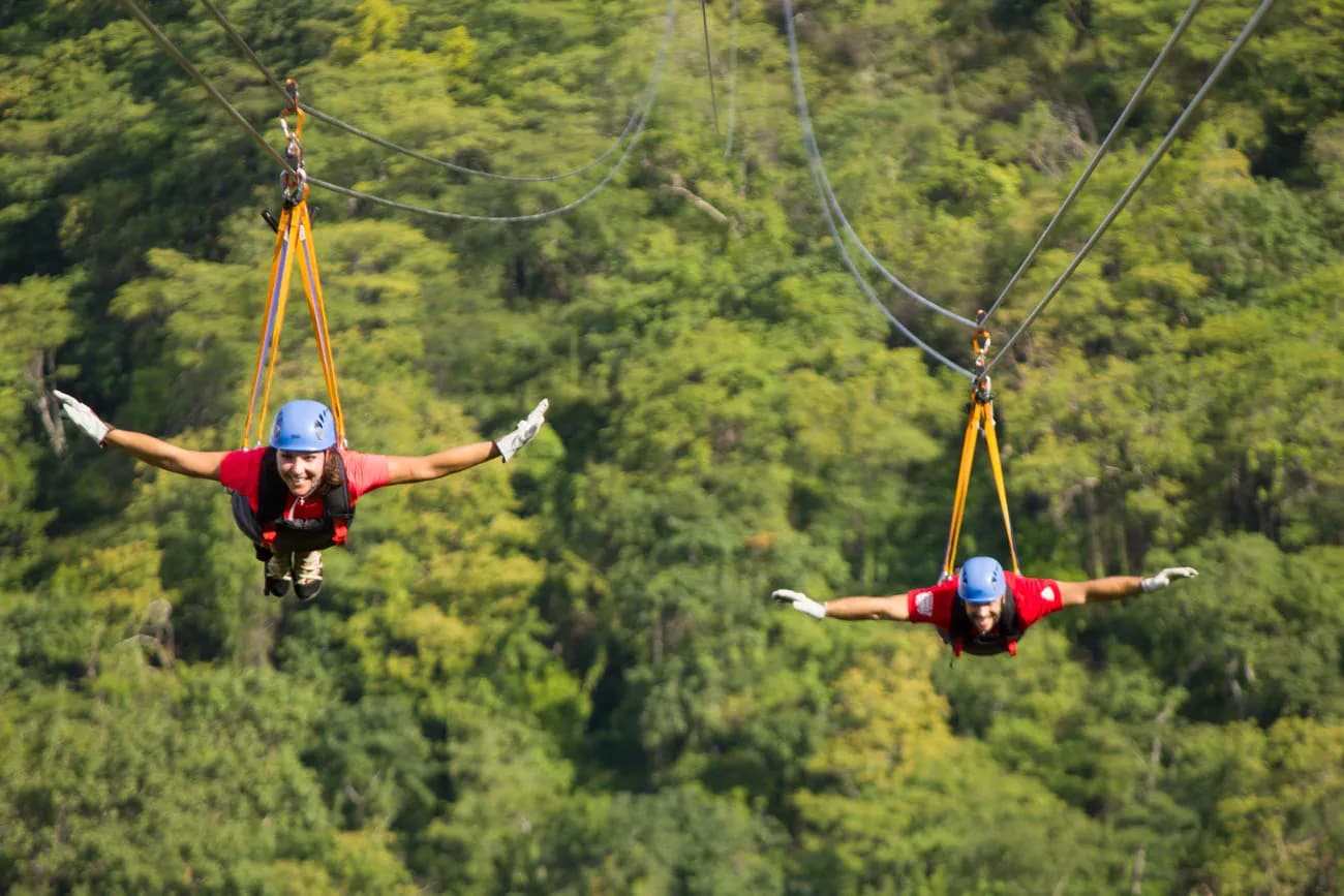 Feel the rush of wind and freedom as you zip through nature from above